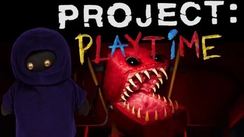 Project Playtime